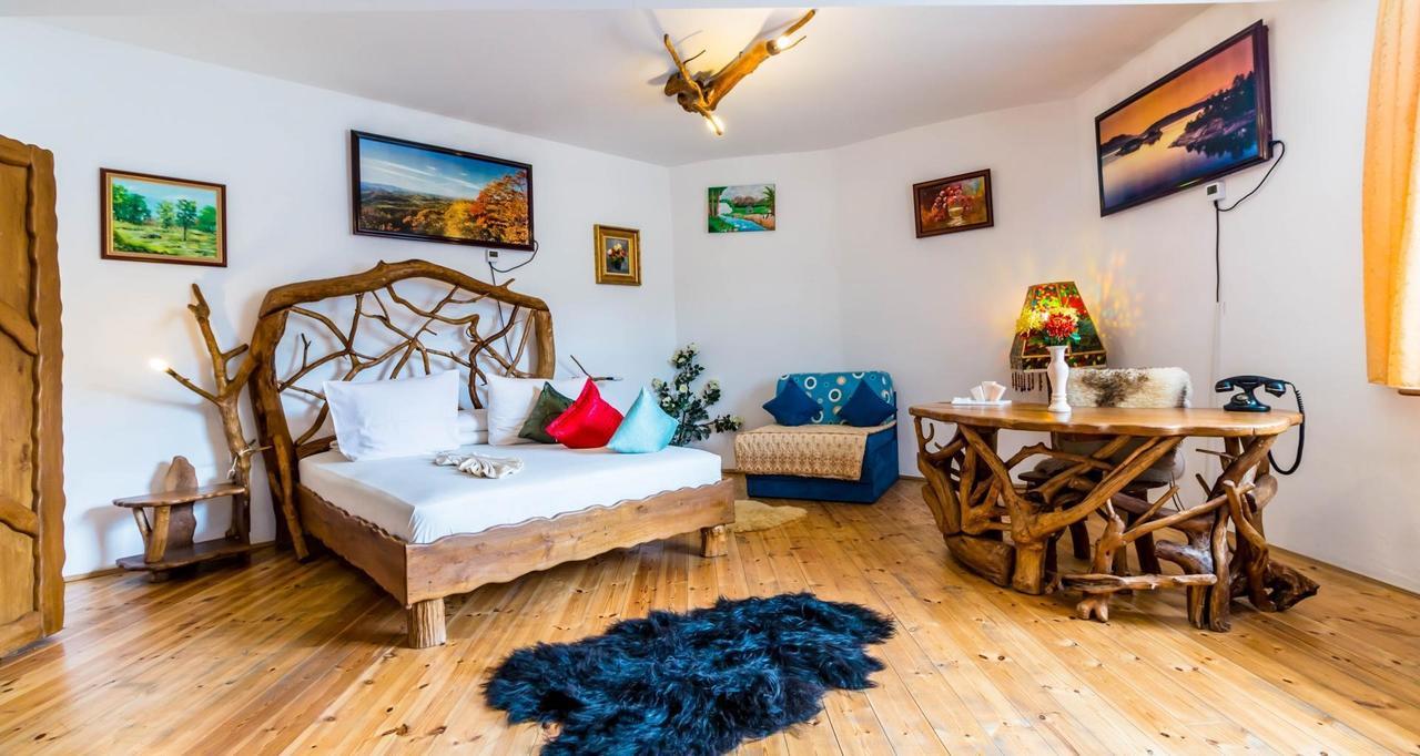 Hotel Castelul De Vis Petroşani Exteriér fotografie
