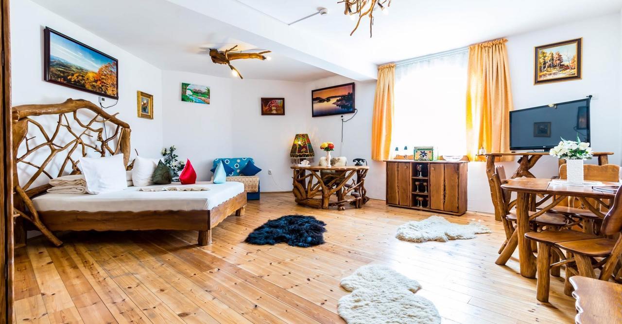 Hotel Castelul De Vis Petroşani Exteriér fotografie