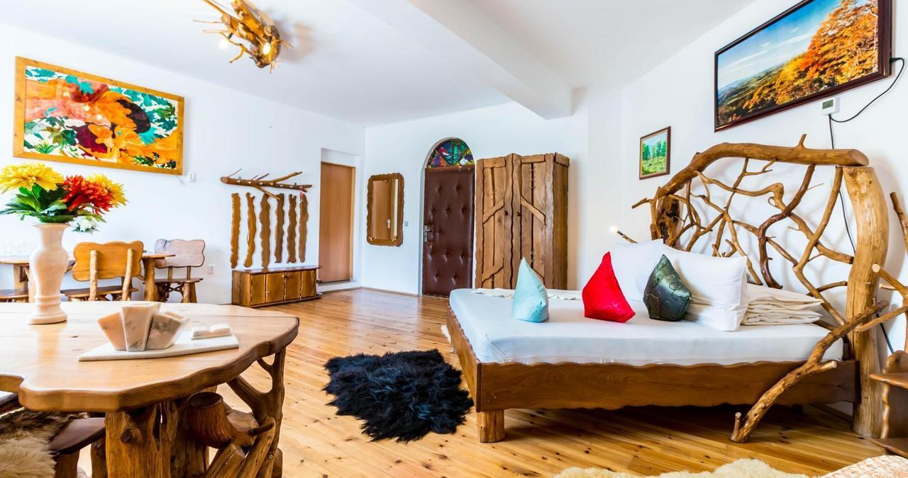 Hotel Castelul De Vis Petroşani Exteriér fotografie