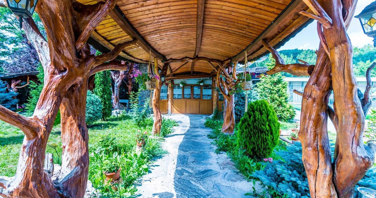 Hotel Castelul De Vis Petroşani Exteriér fotografie