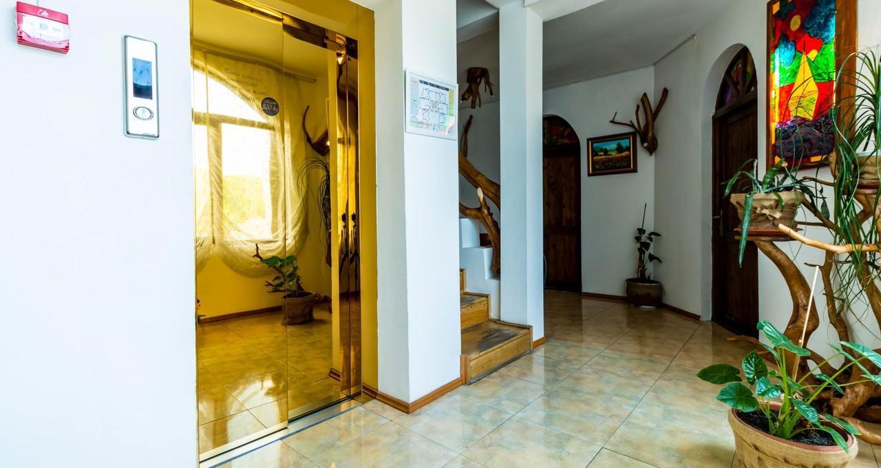 Hotel Castelul De Vis Petroşani Exteriér fotografie