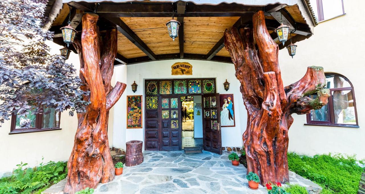 Hotel Castelul De Vis Petroşani Exteriér fotografie