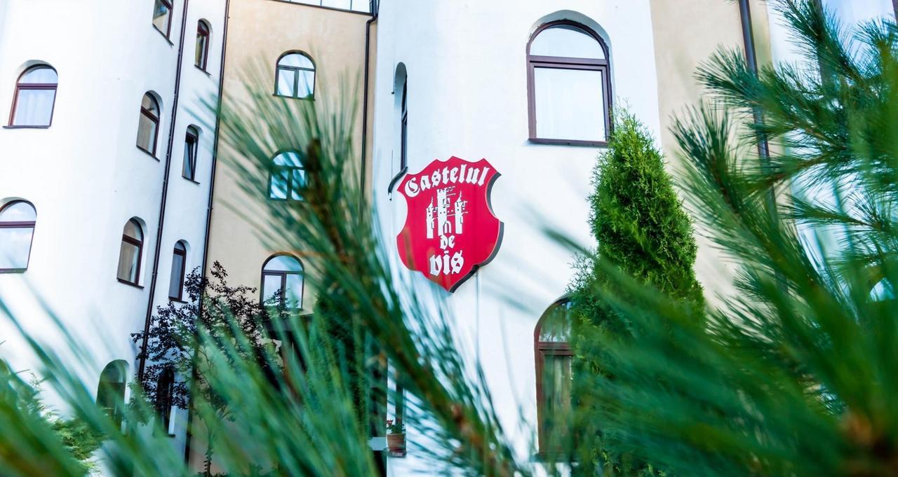 Hotel Castelul De Vis Petroşani Exteriér fotografie